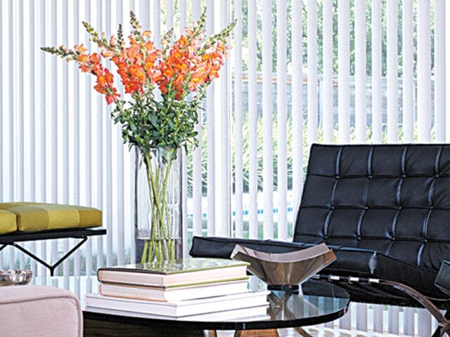 vertical-blinds